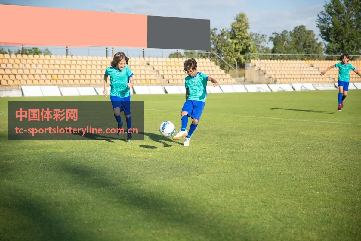 中国体彩网竞彩赛程中心行动入口背景
